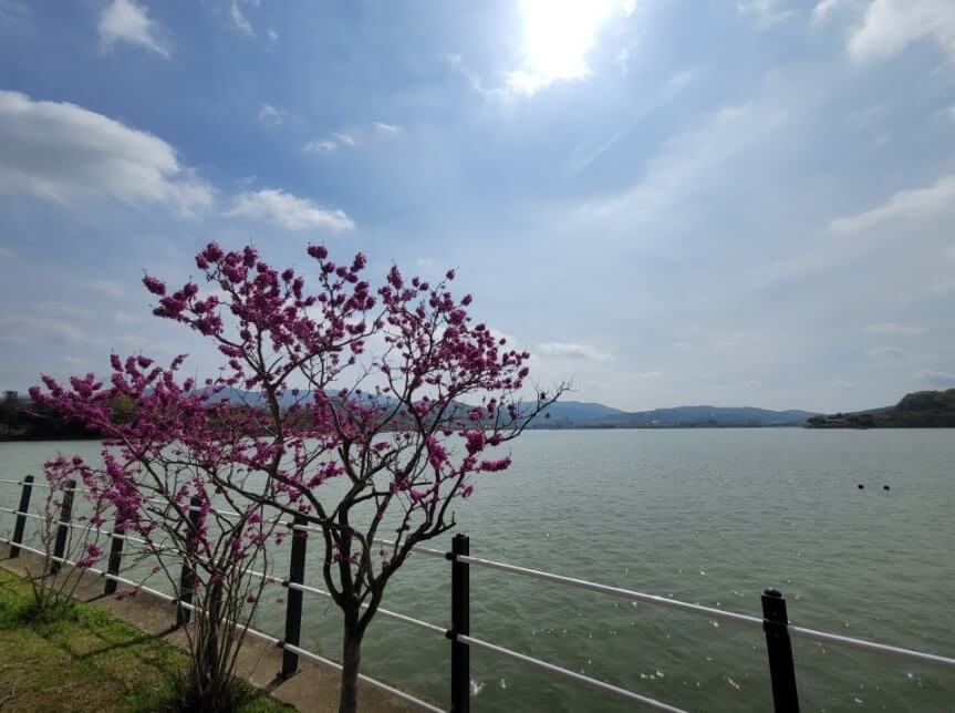 Bomun Lake