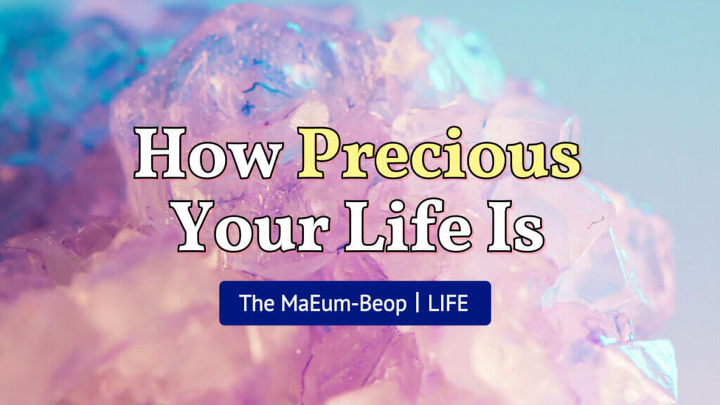 Precious Your Life-The MaEum-Beop